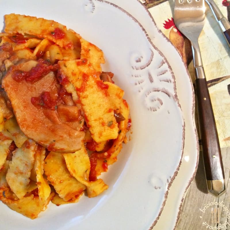 Pasta rustica alla farina di mais con sugo ai funghi porcini