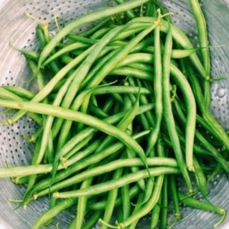 Green bean salad