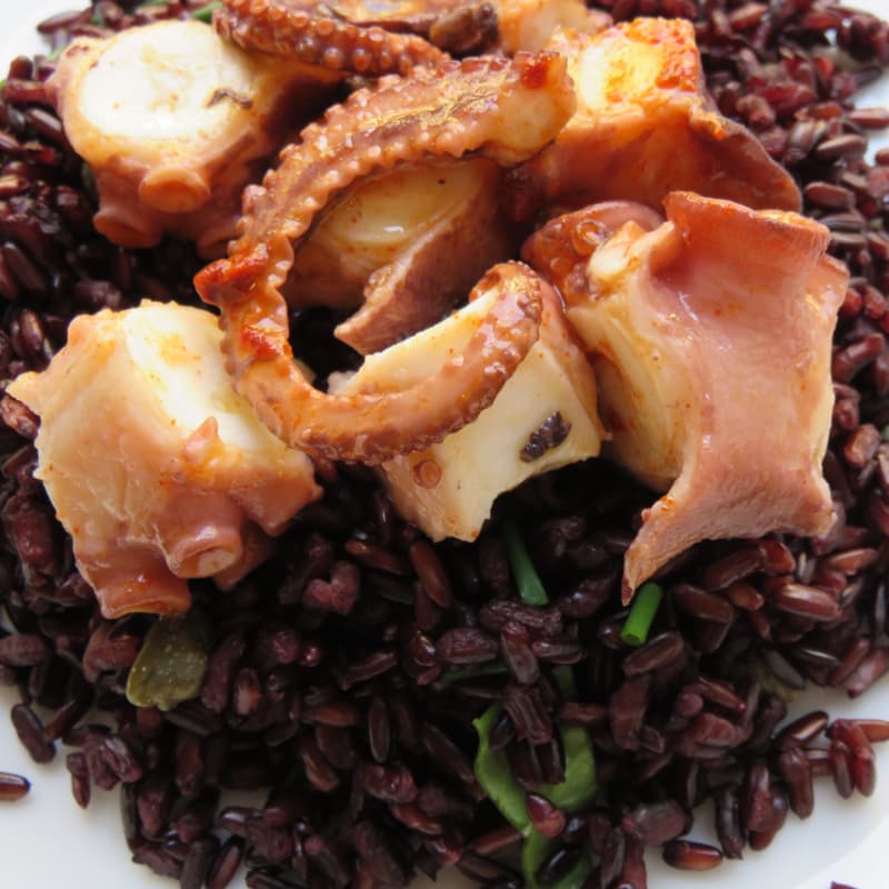 pulpo de Galicia en la cama de arroz Venus