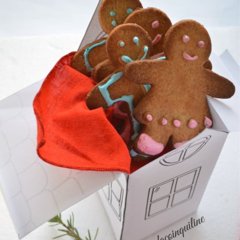 Omini gingerbread gluten-free and lactose-free