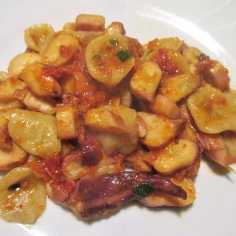 Orecchiette fatte in casa con salsa di pomodoro secco e calamaro