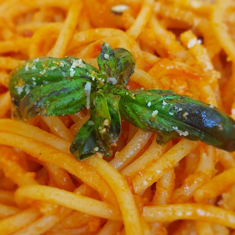 Pastas Maccheroncelli con crema de búfalo