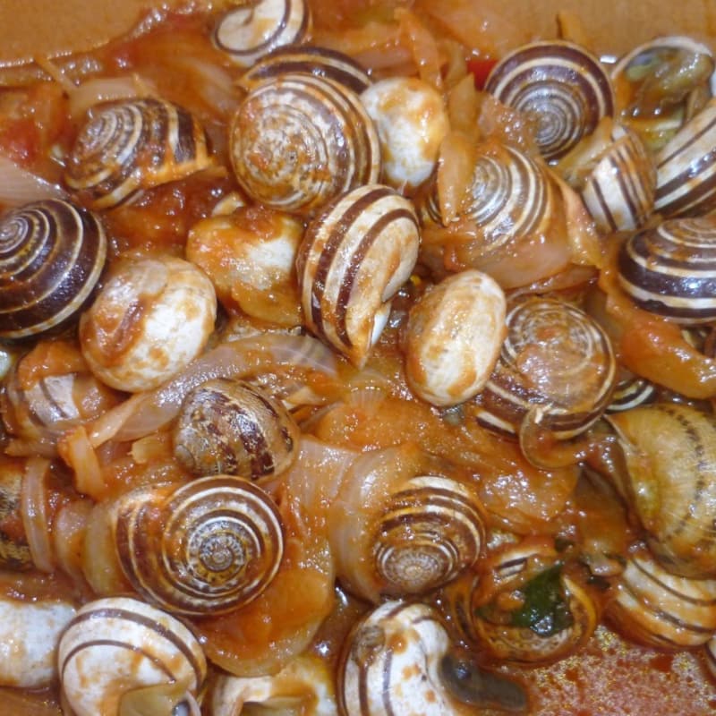 Caracoles en tomates picados y cebollas