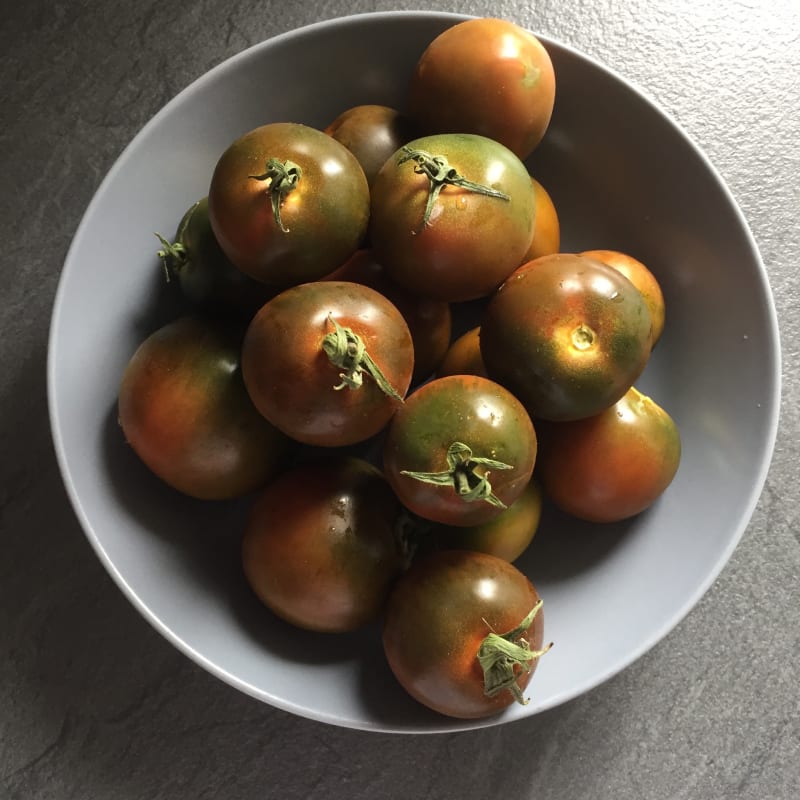 Bucatini all’amatriciana speciale