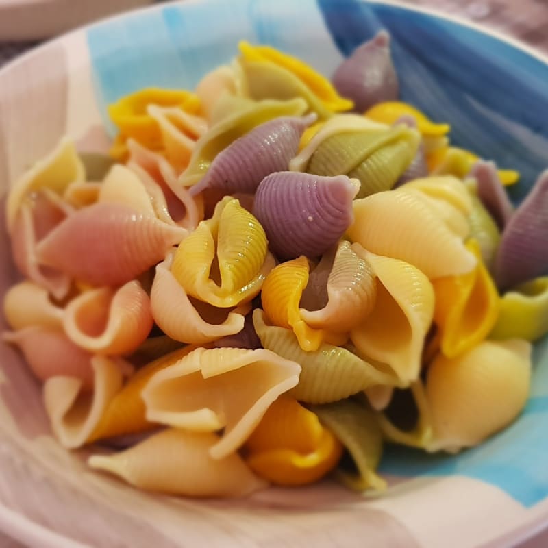 Conchiglie al 5 Colori