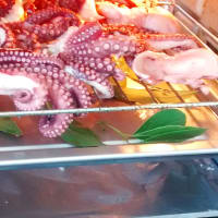 Foto preparazione Octopus roasted in the oven Foto preparazione Octopus roasted in the oven
