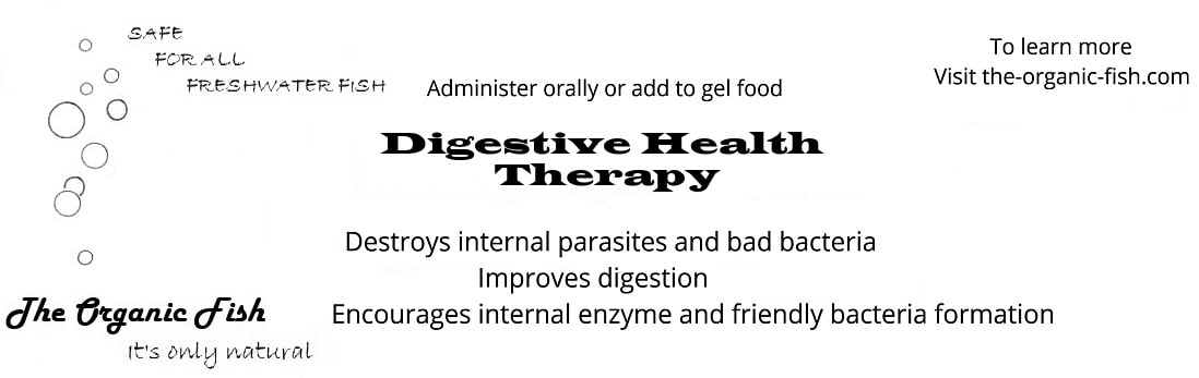 digestive health