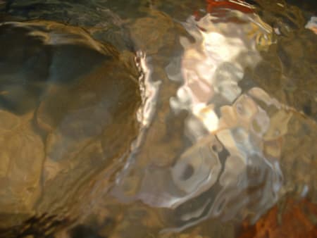 art of goldfish