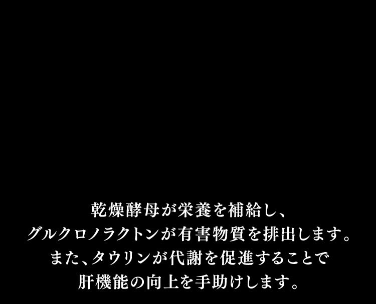 肝機能の向上を手助けする