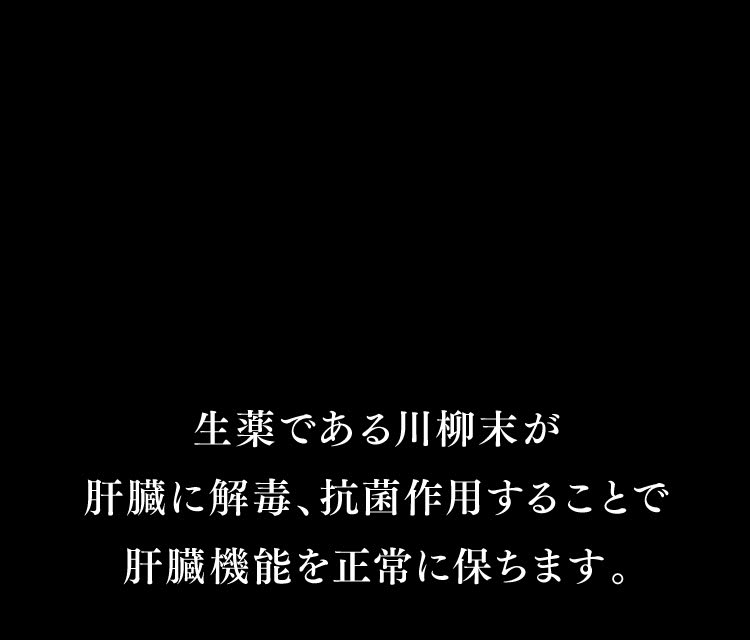 肝臓に解毒、抗菌作用することで肝臓機能を正常に保ちます