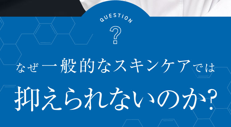 セクション24｜ポテンツァ錠0