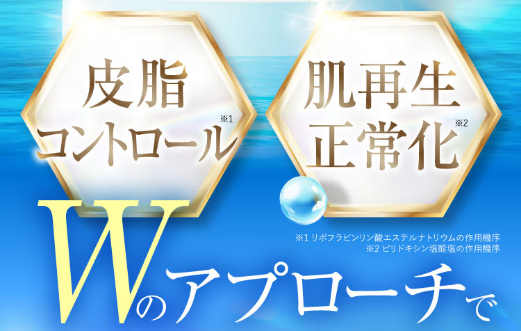 セクション28｜ポテンツァ錠0