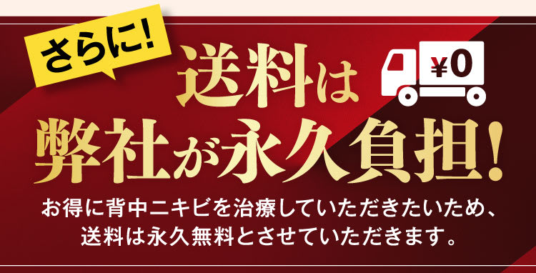 送料は弊社が永久負担！