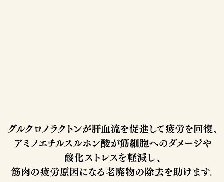 グルクロノラクトンが肝血流を促進して疲労を回復、タウリンが筋細胞へのダメージや酸化ストレスを軽減し、