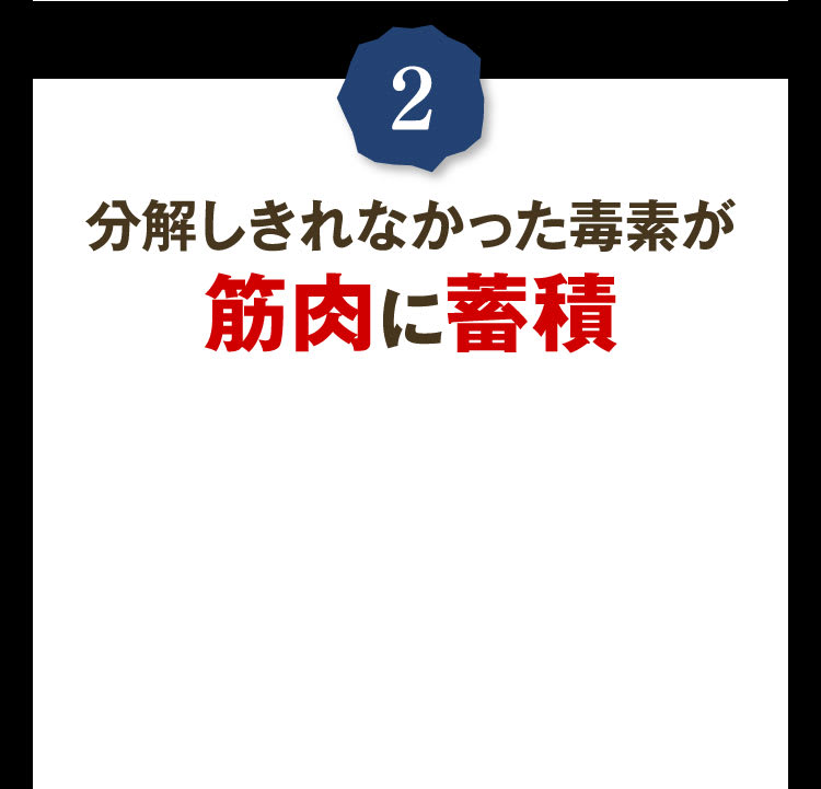 ②分解しきれなかった毒素が