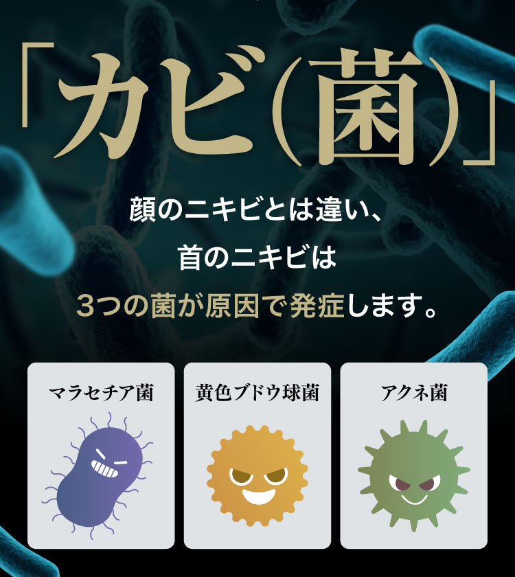 3つの菌が原因で発生