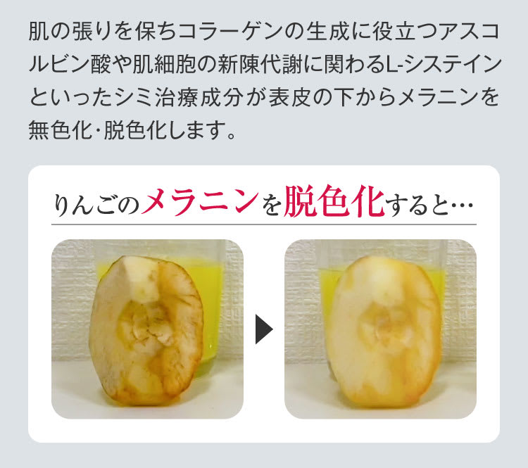 リンゴのメラニン