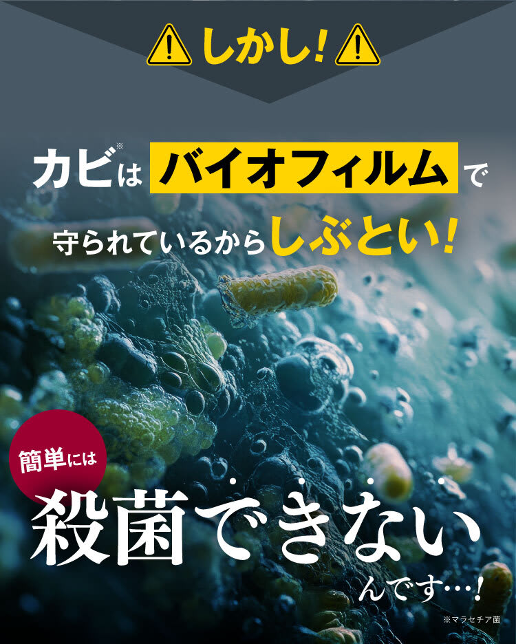 カビはバイオフィルムで守られている