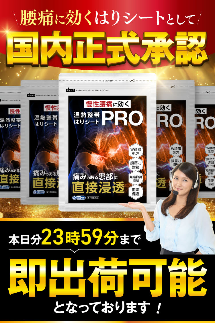 国内正式承認