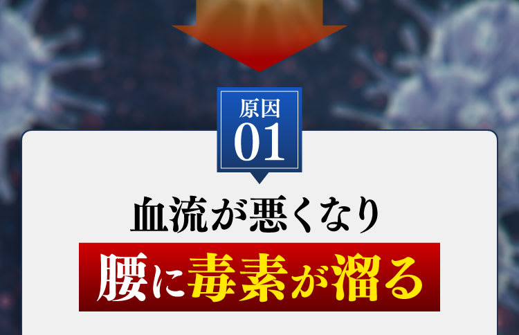 毒素が溜る