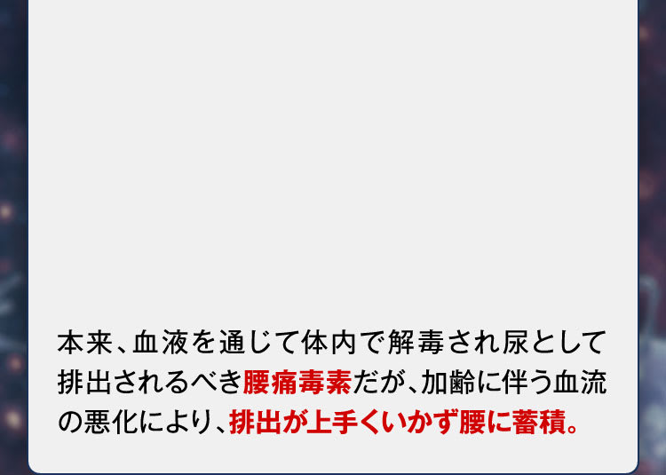 蓄積します