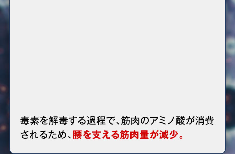 筋肉量減少