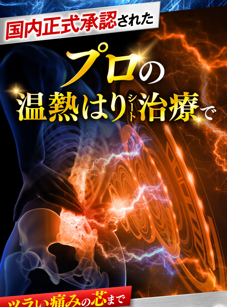 プロの温熱整帯はり治療