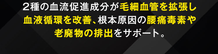 老廃物の排出をサポート