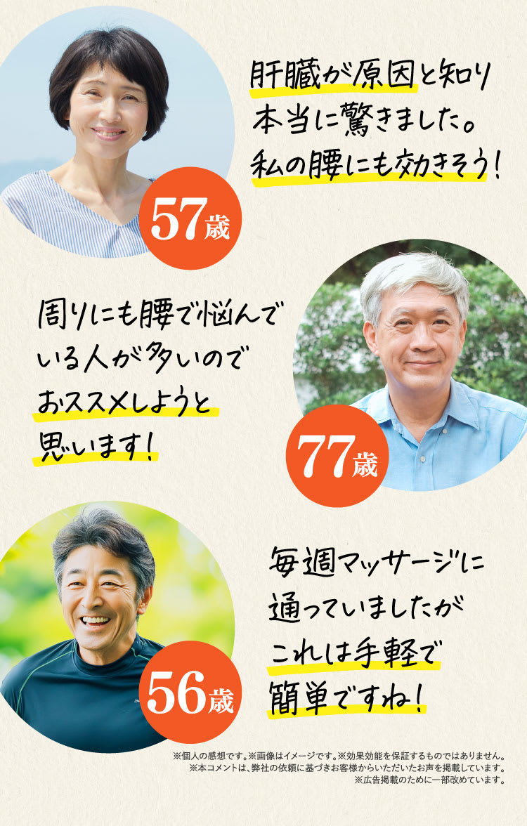 毒素分解できなくなる