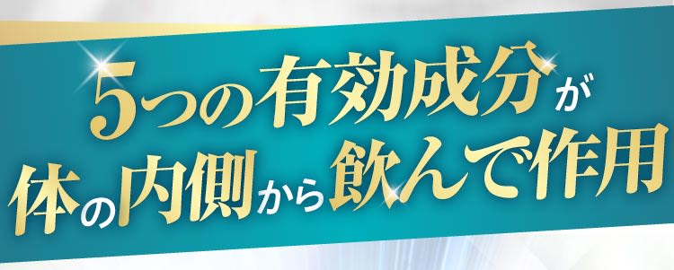 5つの有効成分が体の内側に飲んで作用｜ポテンツァ錠0