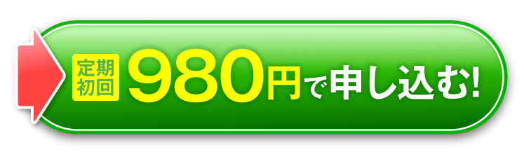 980円で申し込む