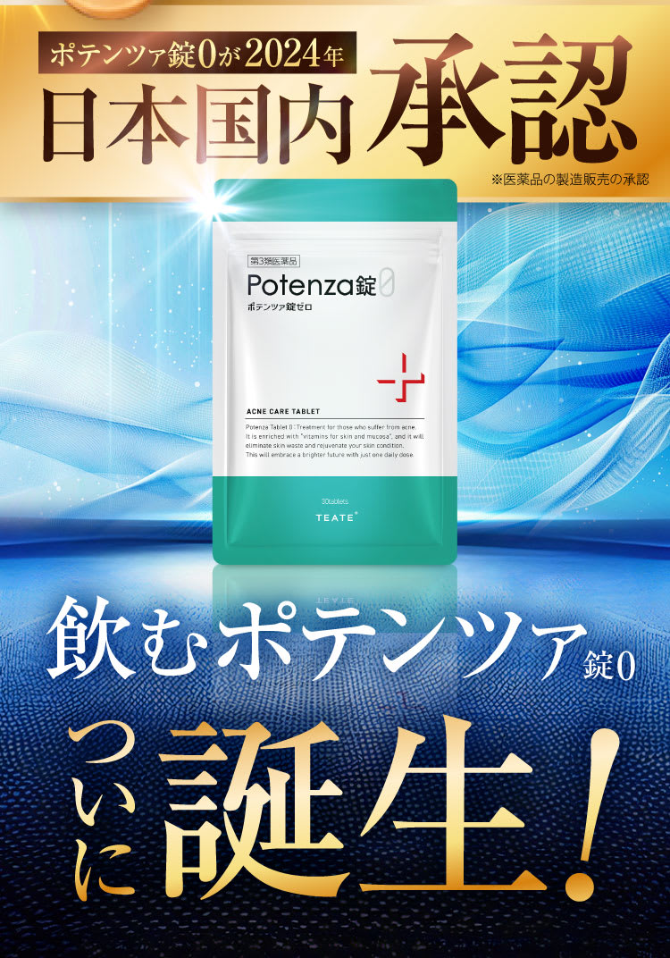 国内新承認