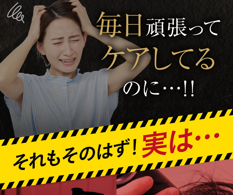 セクション21｜ポテンツァ錠0