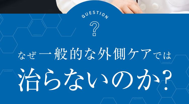 セクション24｜ポテンツァ錠0