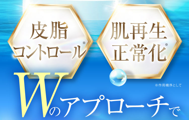 セクション28｜ポテンツァ錠0