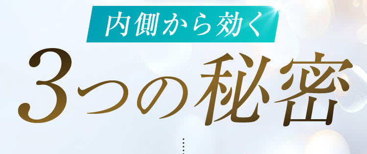 セクション31｜ポテンツァ錠0