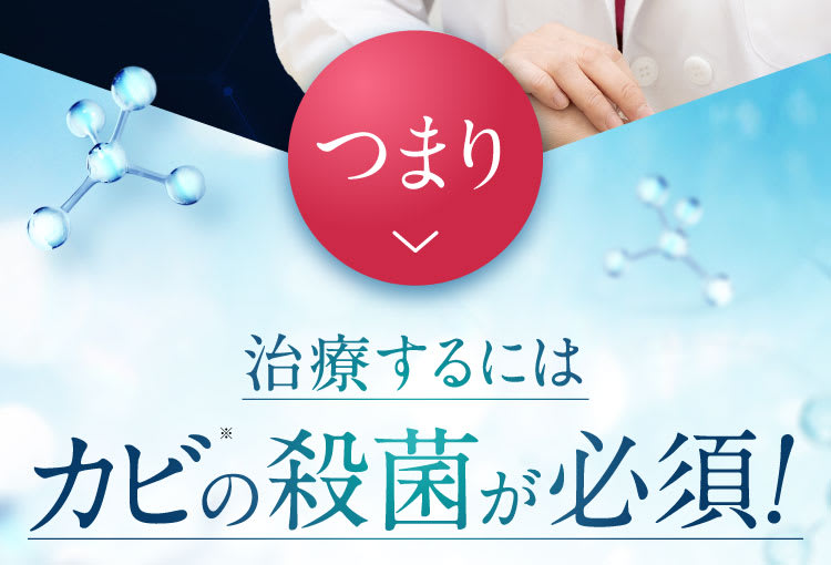 史上初|セナクリア