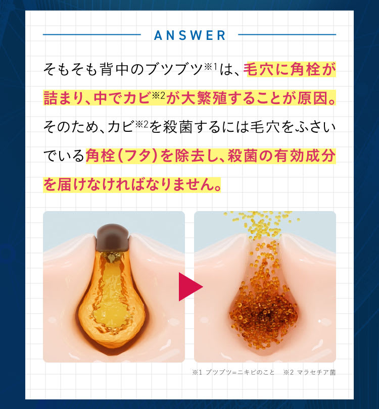 史上初|セナクリア