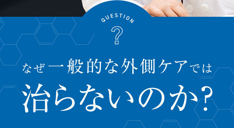 セクション24｜ポテンツァ錠0