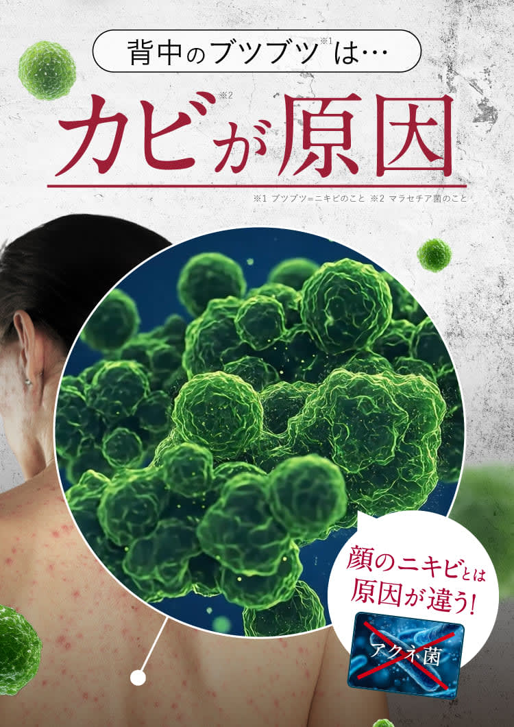 史上初｜セナクリア