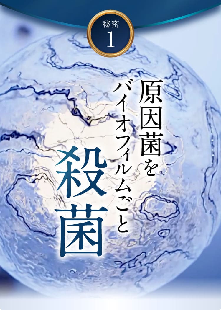 史上初｜セナクリア