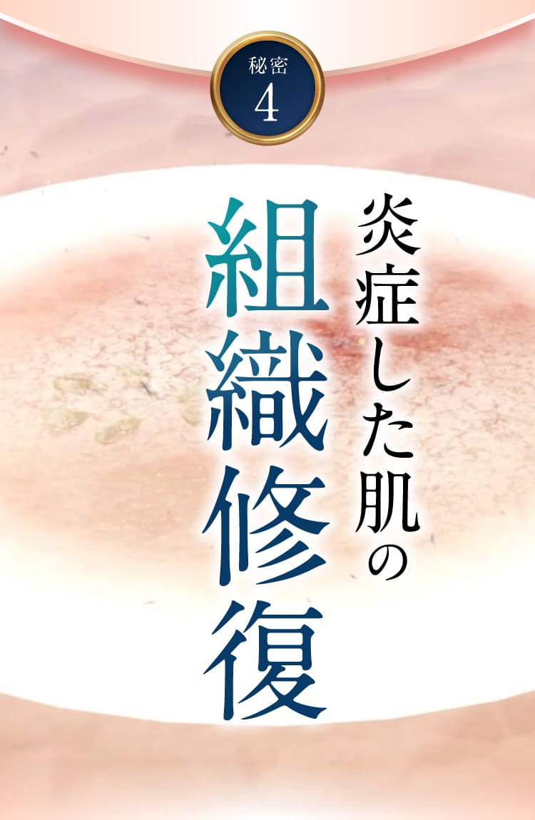 史上初｜セナクリア