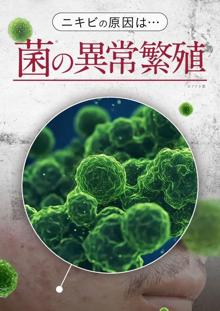 史上初｜セナクリア