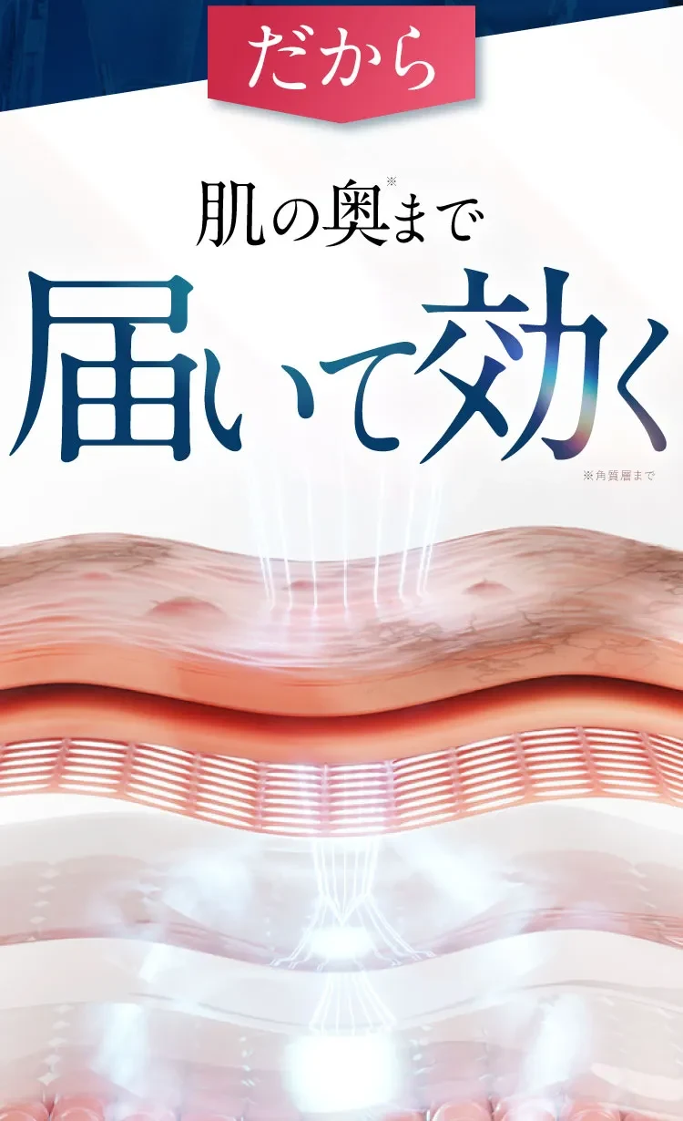 史上初｜セナクリア