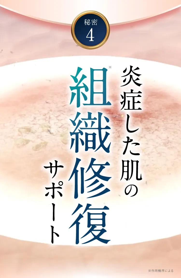 史上初｜セナクリア