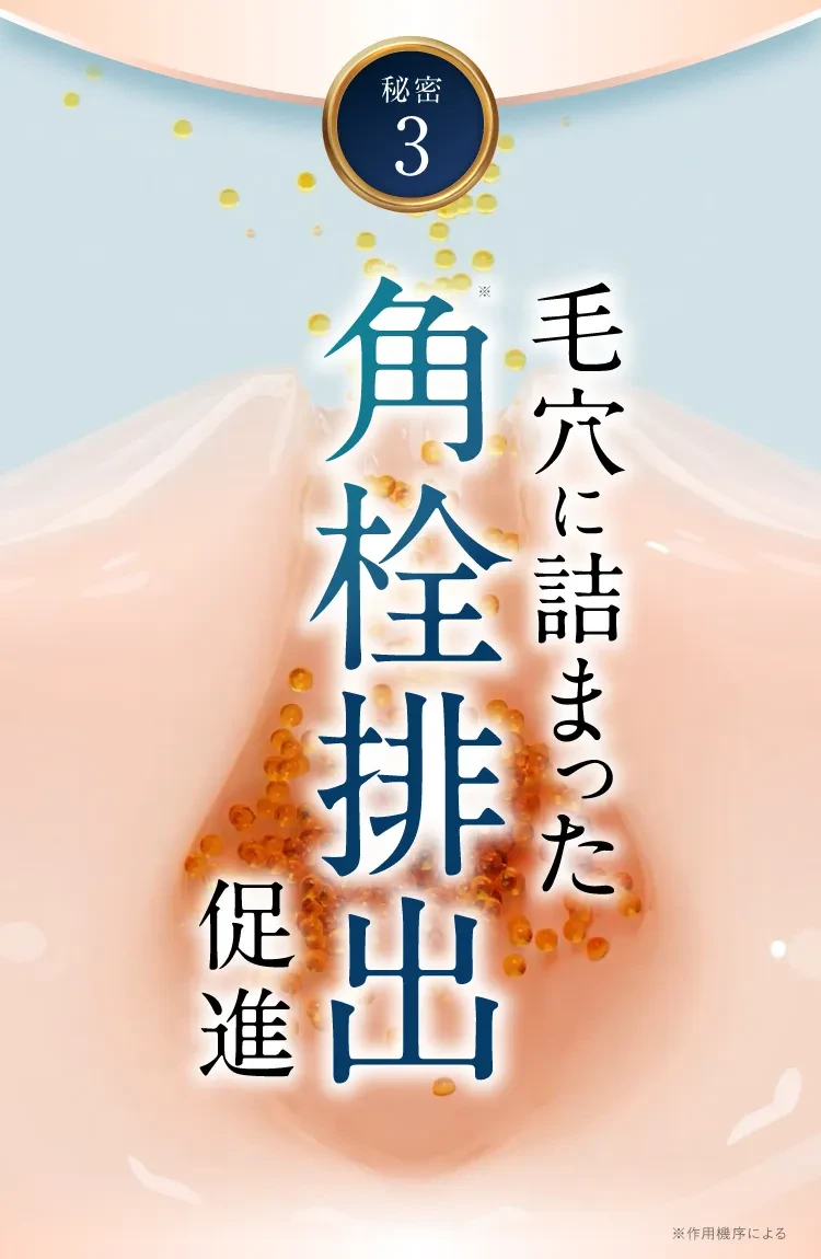 史上初｜セナクリア