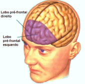 DDA/TDAH e o córtex pré-frontal