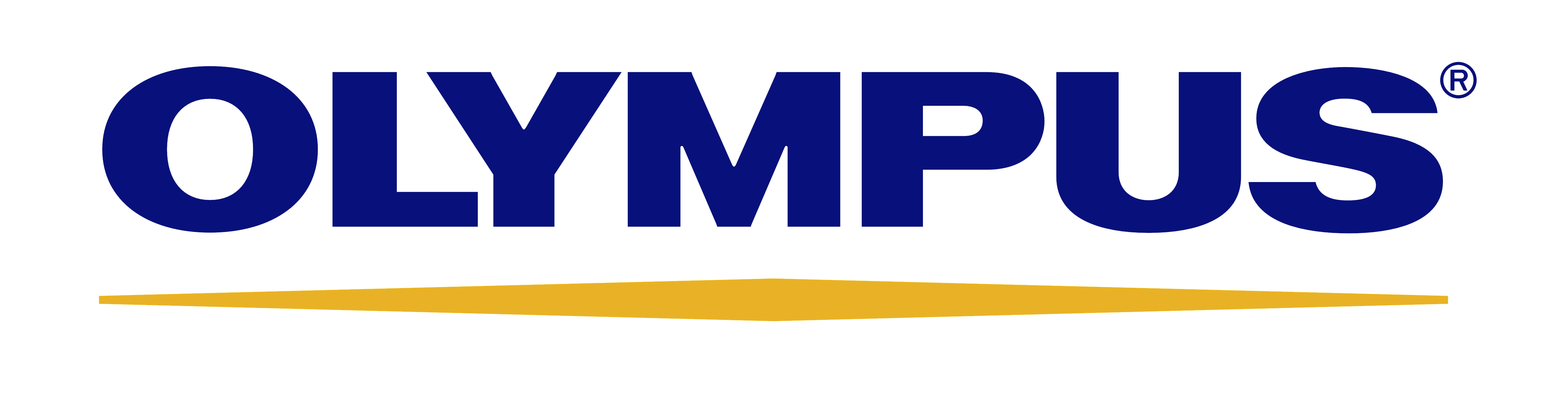 Betriebliches Gesundheitsmanagement und Firmenfitness bei Olympus