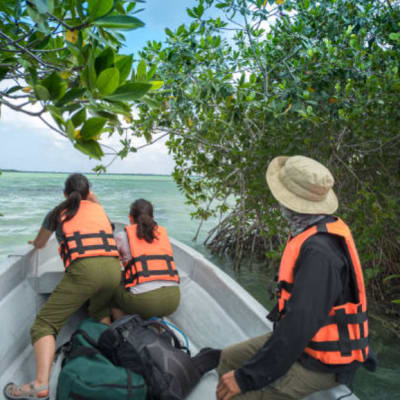 🎉Saadani national park🎉
