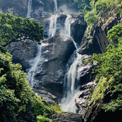 UDZUNGWA OCTOBER TRIP